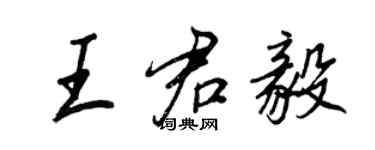 王正良王君毅行书个性签名怎么写