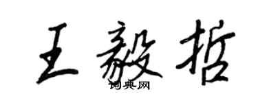 王正良王毅哲行书个性签名怎么写