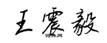 王正良王震毅行书个性签名怎么写