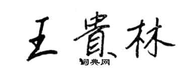 王正良王贵林行书个性签名怎么写