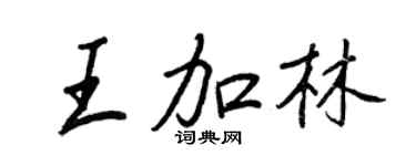 王正良王加林行书个性签名怎么写