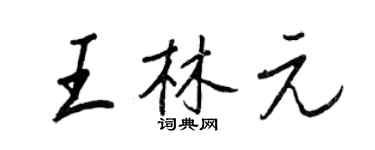 王正良王林元行书个性签名怎么写