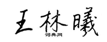 王正良王林曦行书个性签名怎么写