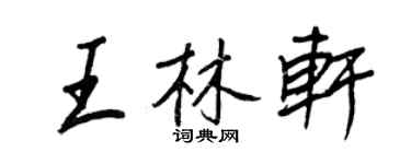 王正良王林轩行书个性签名怎么写