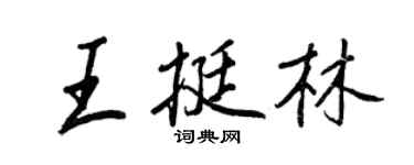 王正良王挺林行书个性签名怎么写