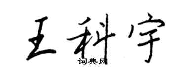 王正良王科宇行书个性签名怎么写
