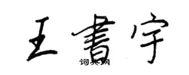 王正良王书宇行书个性签名怎么写