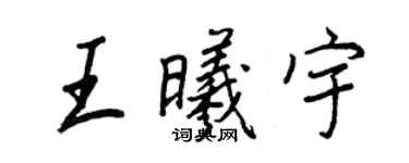 王正良王曦宇行书个性签名怎么写