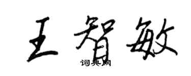 王正良王智敏行书个性签名怎么写