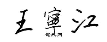 王正良王宁江行书个性签名怎么写