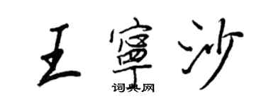 王正良王宁沙行书个性签名怎么写