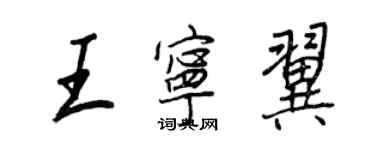 王正良王宁翼行书个性签名怎么写