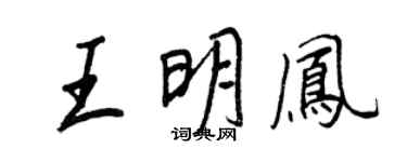 王正良王明凤行书个性签名怎么写