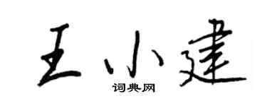 王正良王小建行书个性签名怎么写