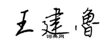 王正良王建鲁行书个性签名怎么写