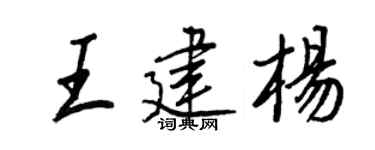王正良王建杨行书个性签名怎么写