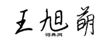 王正良王旭萌行书个性签名怎么写