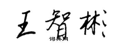 王正良王智彬行书个性签名怎么写