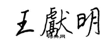 王正良王献明行书个性签名怎么写