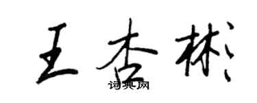 王正良王杏彬行书个性签名怎么写