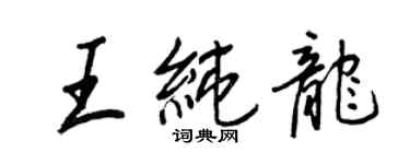 王正良王纯龙行书个性签名怎么写