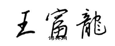 王正良王富龙行书个性签名怎么写