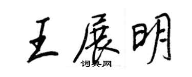 王正良王展明行书个性签名怎么写