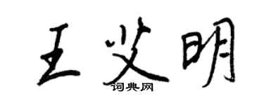 王正良王艾明行书个性签名怎么写