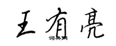 王正良王有亮行书个性签名怎么写
