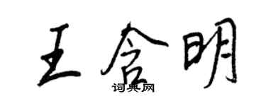 王正良王含明行书个性签名怎么写