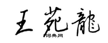 王正良王苑龙行书个性签名怎么写