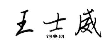 王正良王士威行书个性签名怎么写