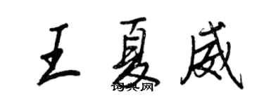 王正良王夏威行书个性签名怎么写