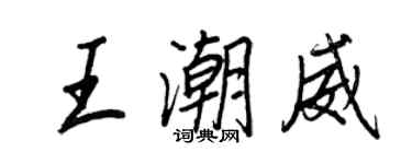 王正良王潮威行书个性签名怎么写