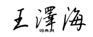王正良王泽海行书个性签名怎么写