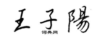王正良王子阳行书个性签名怎么写
