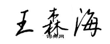 王正良王森海行书个性签名怎么写