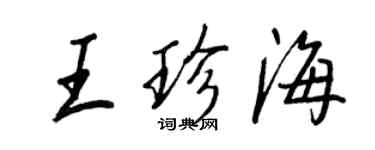 王正良王珍海行书个性签名怎么写