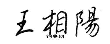 王正良王相阳行书个性签名怎么写
