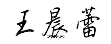 王正良王晨蕾行书个性签名怎么写