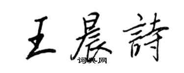 王正良王晨诗行书个性签名怎么写