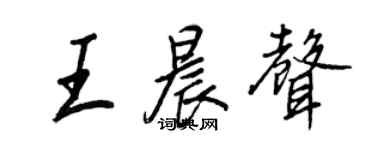 王正良王晨声行书个性签名怎么写