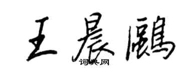 王正良王晨鸥行书个性签名怎么写