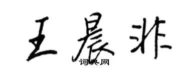 王正良王晨非行书个性签名怎么写