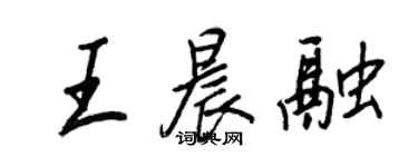 王正良王晨融行书个性签名怎么写