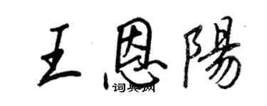 王正良王恩阳行书个性签名怎么写