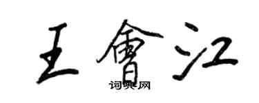 王正良王会江行书个性签名怎么写