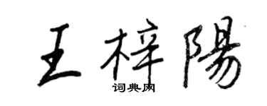 王正良王梓阳行书个性签名怎么写