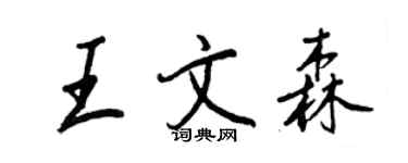 王正良王文森行书个性签名怎么写