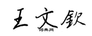 王正良王文钦行书个性签名怎么写